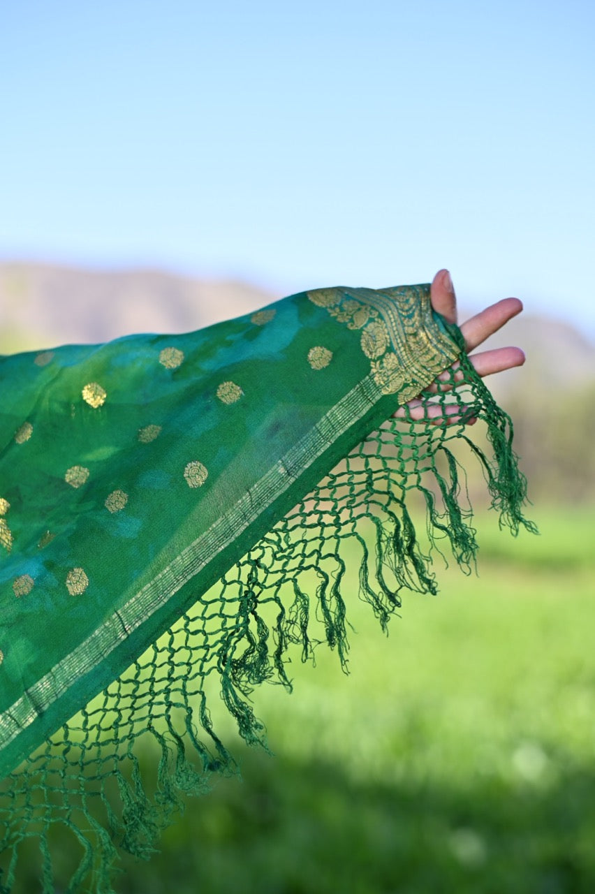 GAPAN Devi Scarf